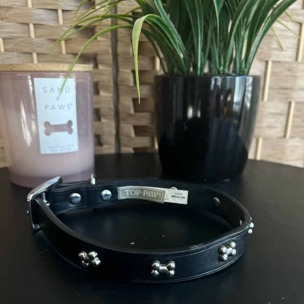 Top Paw Black Collar with Silver Bone Details
